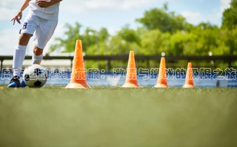 人生搏中国官网入口