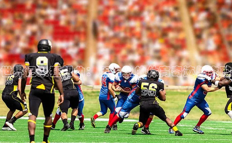 人生就是博·(中国)